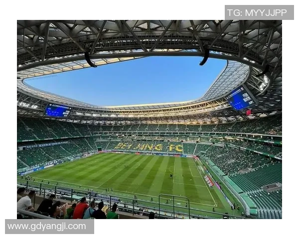 法语国家的足球巨星们如何在绿茵场上书写传奇故事